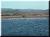 DSCN9465.JPG