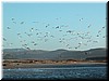 DSCN9467.JPG