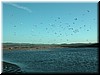 DSCN9468.JPG