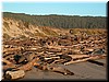 DSCN9472.JPG
