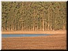 DSCN9476.JPG
