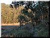 DSCN9480.JPG
