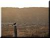 DSCN9482.JPG
