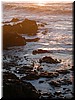 DSCN9497.JPG