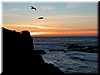 DSCN9525.JPG