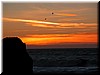 DSCN9531.JPG