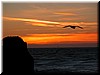 DSCN9535.JPG