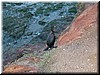 DSCN9543.JPG