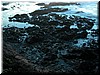 DSCN9555.JPG