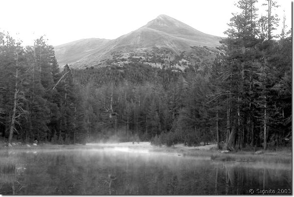 0216225bw.jpg