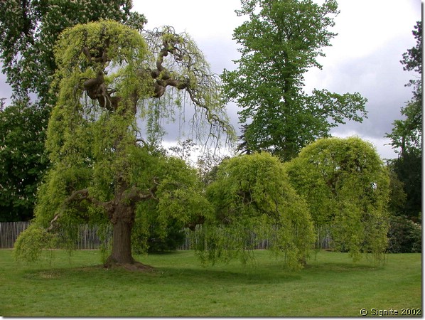 DSCN5475.JPG