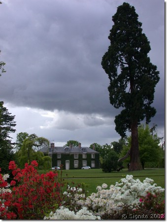 DSCN5491.JPG
