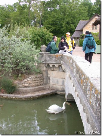 DSCN5497.JPG