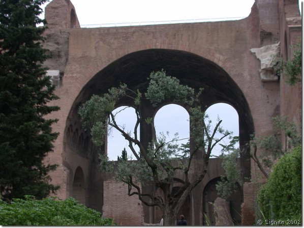 DSCN6566.JPG