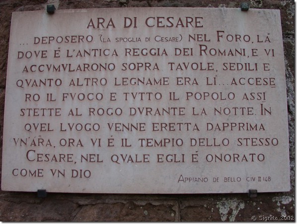 DSCN6595.JPG