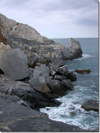 DSCN7187.JPG