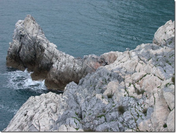 DSCN7192.JPG