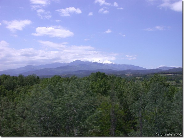 DSCN7931.JPG