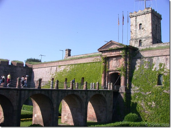 DSCN7985.JPG