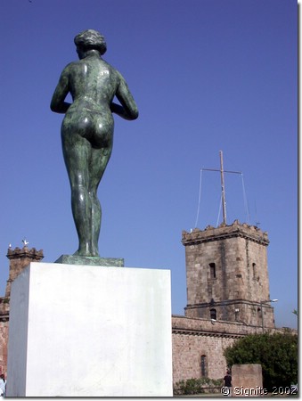 DSCN7992.JPG
