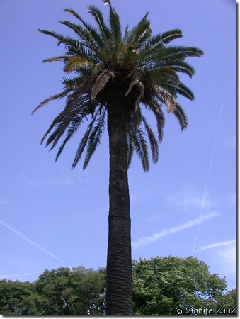 DSCN8048.JPG
