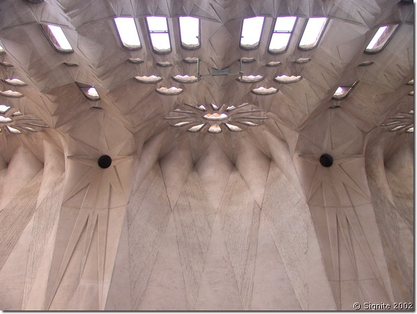 DSCN8082.JPG