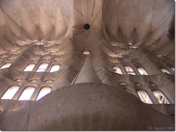 DSCN8088.JPG