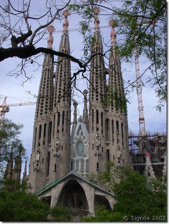 DSCN8133.JPG