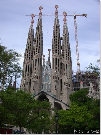 DSCN8135.JPG