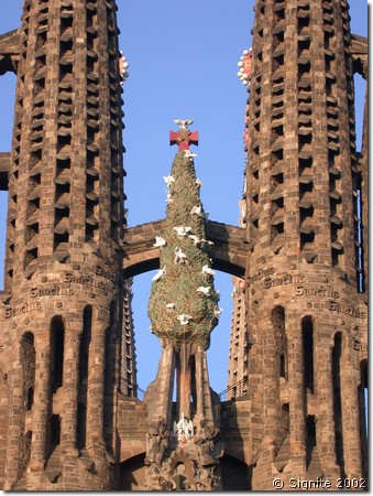 Dscn8187.jpg