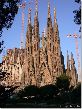 Dscn8191.jpg