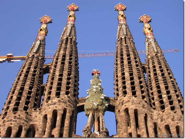 Dscn8195.jpg