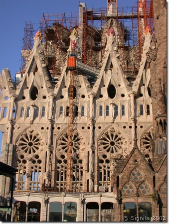 Dscn8200.jpg