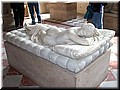 DSCN5596.JPG