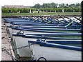 DSCN6236.JPG
