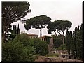 DSCN6562.JPG