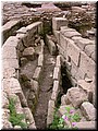 DSCN6573.JPG