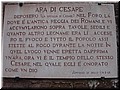 DSCN6595.JPG