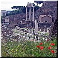 DSCN6615.JPG