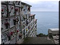 DSCN7209.JPG