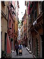 DSCN7215.JPG
