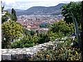 DSCN7278.JPG