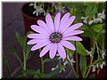 DSCN7356.JPG