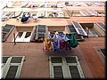 DSCN7396.JPG