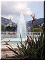DSCN7441.JPG