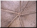 DSCN7831.JPG