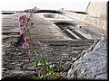 DSCN7854.JPG