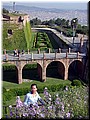 DSCN7994.JPG