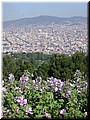 DSCN8000.JPG