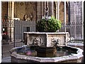 DSCN8028.JPG